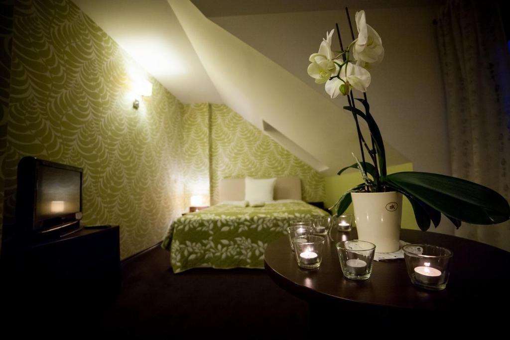 Gosciniec Nad Goplem Otel Grodztwo Oda fotoğraf