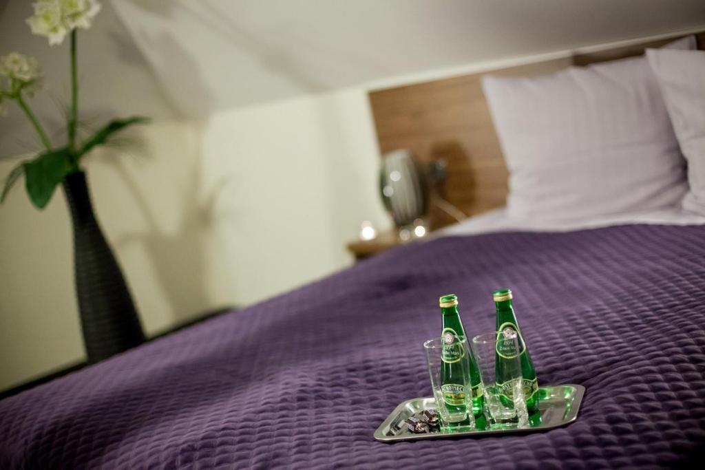 Gosciniec Nad Goplem Otel Grodztwo Oda fotoğraf
